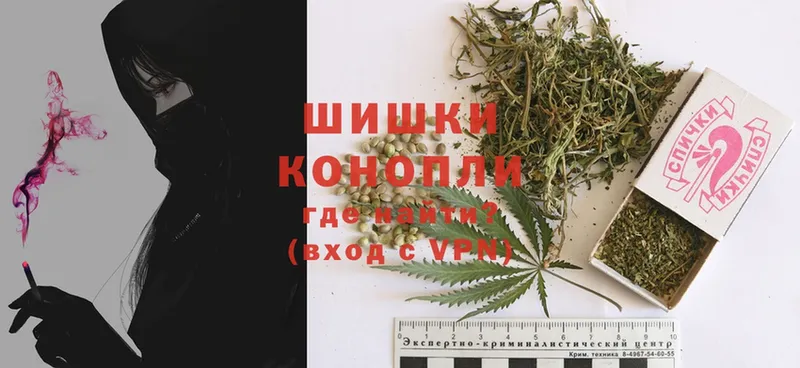 Шишки марихуана OG Kush  купить наркотик  Андреаполь 